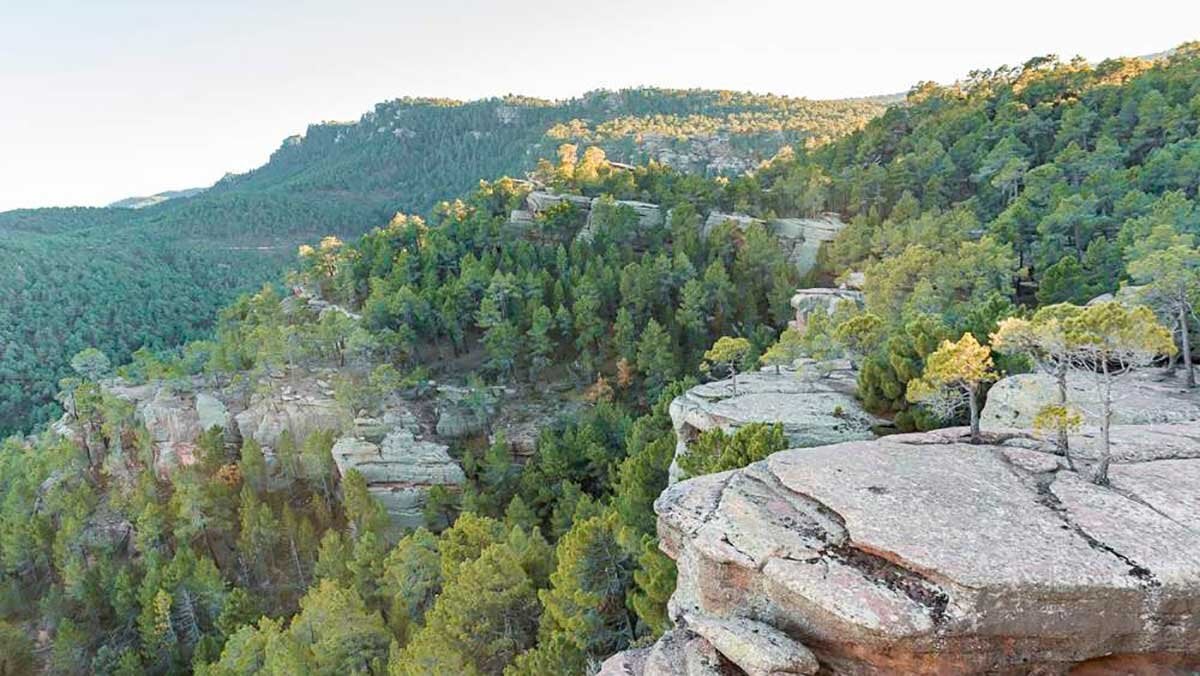 Albarracín’s Four Hidden Trails Through Suspension Bridges, Forests and Unique Landscapes