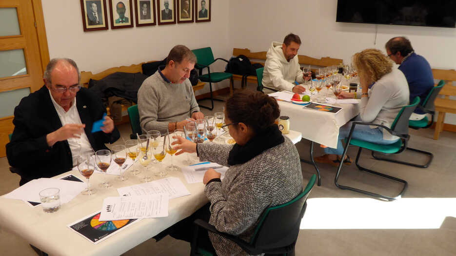 Is Yours Spain’s Best Honey? Mieladictos 2026 Competition Opens