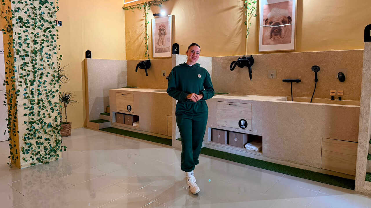 The innovative spa where you can bathe your dog for €10 in Zaragoza: “Everything is designed for comfort”