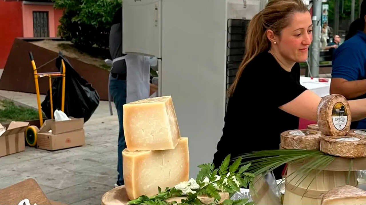 Spain's Best Cheese Board Is in Aragon: Where to Find It