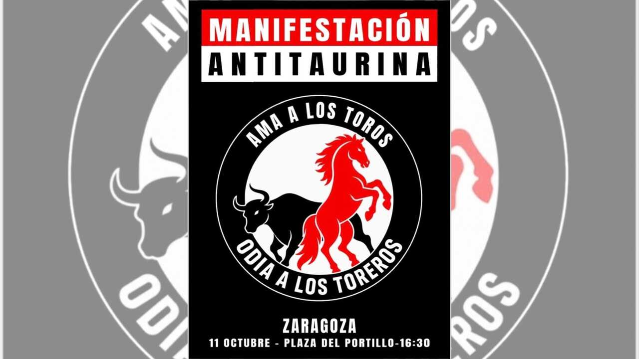 Zaragoza Hosts Anti-Bullfighting Protest During Pilar Festivities: “Celebrations Cannot Be Built on Animal Suffering”