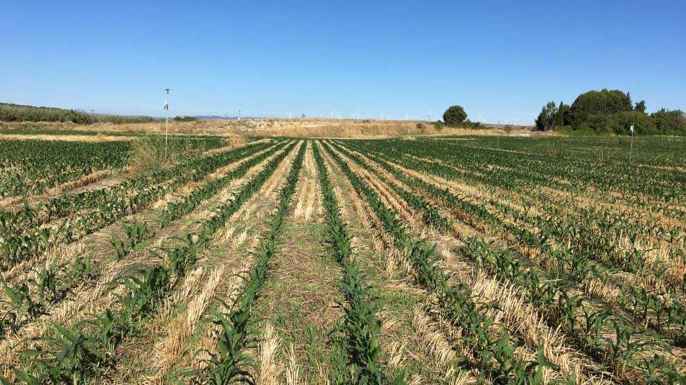 Water, Emissions and Climate Change: CITA Brings Aragon’s Major Agricultural Challenges to Walqa