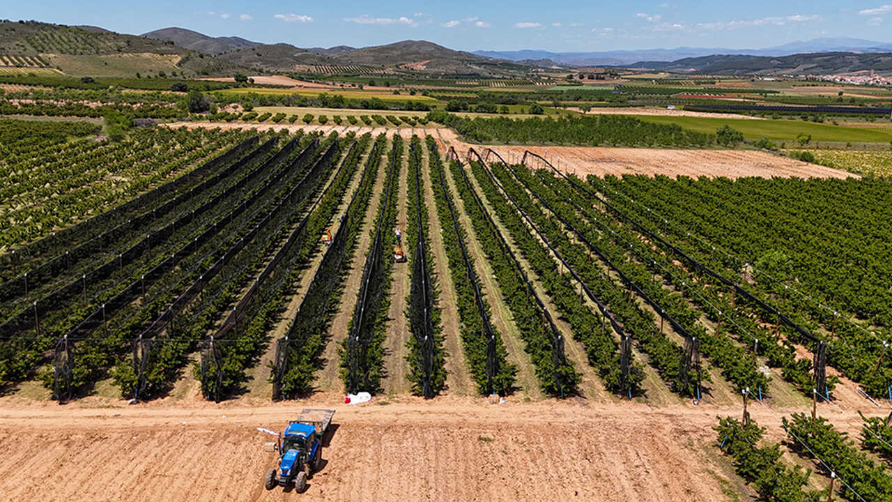 Aragon's farming sector warns in Stockholm of risk of a weaker CAP