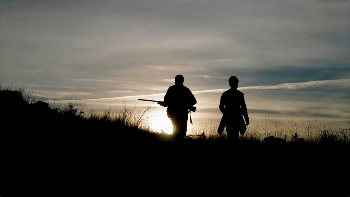 Aragon to fund more than 70,000 cartridges to control rabbit population